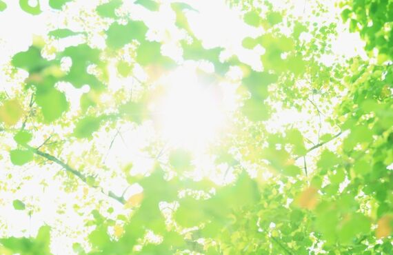 ラーメン屋から楽しい就労支援を学べる施設｜富谷で障害を「個性」として輝かせるなら「あいの郷」